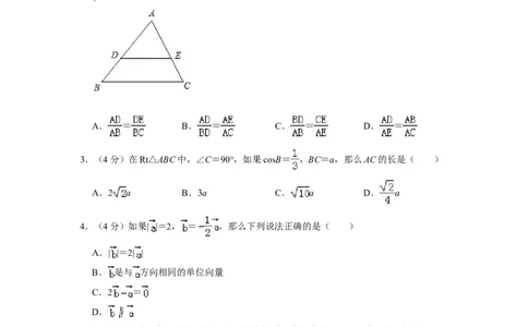 2019年上海市长宁区中考数学一模试卷（含解析版）_0122026上海中考一模二模真题试卷_2026年上海一模_上海1500初中高中试卷_初中_上海中考一模二模三模真题卷及解析_一模
