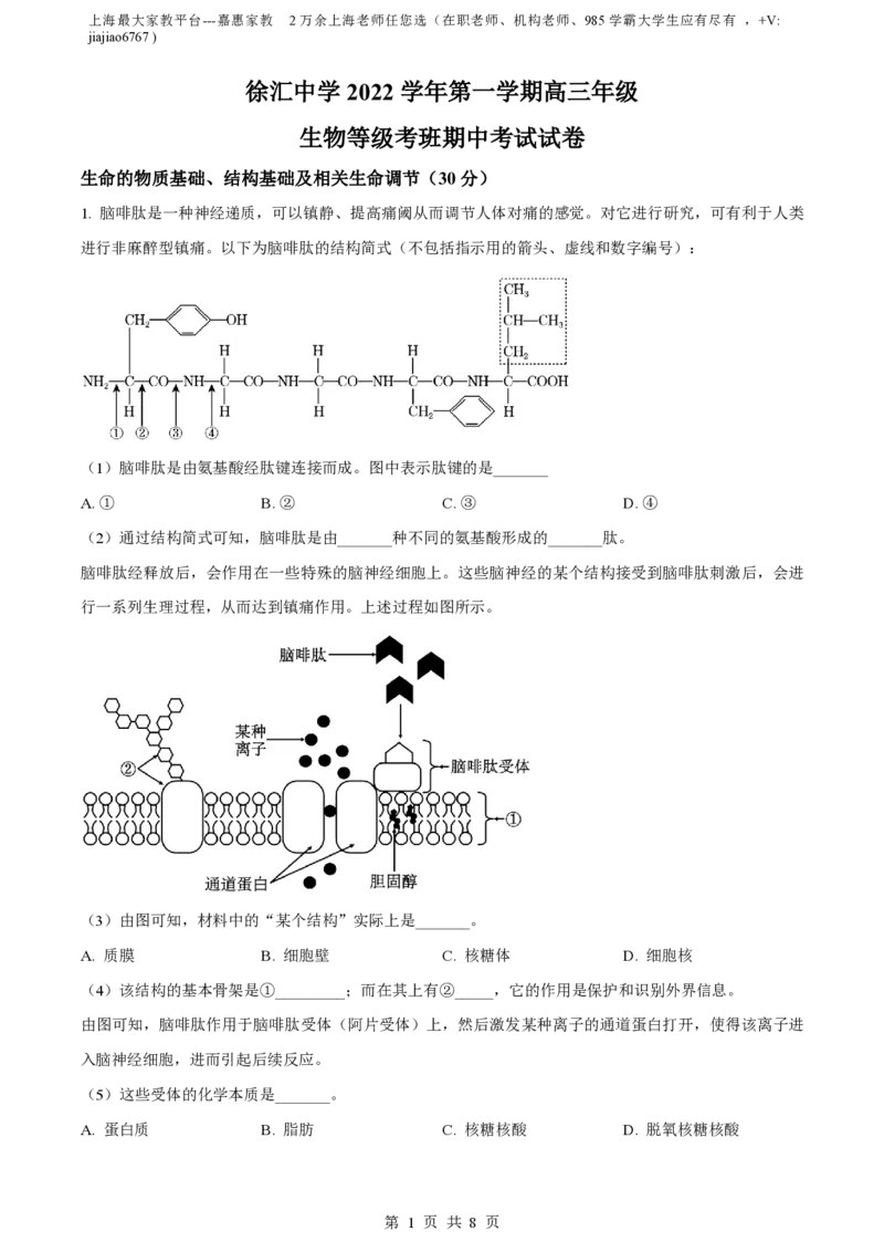 精品解析：上海市徐汇中学2022-2023学年高三11月期中生物试题（原卷版）_0122026上海中考一模二模真题试卷_2026年上海一模_上海1500初中高中试卷_高中_高三_上学期_2：期中