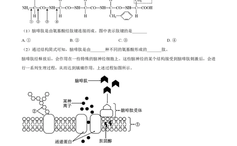 精品解析：上海市徐汇中学2022-2023学年高三11月期中生物试题（原卷版）_0122026上海中考一模二模真题试卷_2026年上海一模_上海1500初中高中试卷_高中_高三_上学期_2：期中