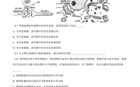 精品解析：上海市徐汇中学2022-2023学年高三11月期中生物试题（原卷版）_0122026上海中考一模二模真题试卷_2026年上海一模_上海1500初中高中试卷_高中_高三_上学期_2：期中