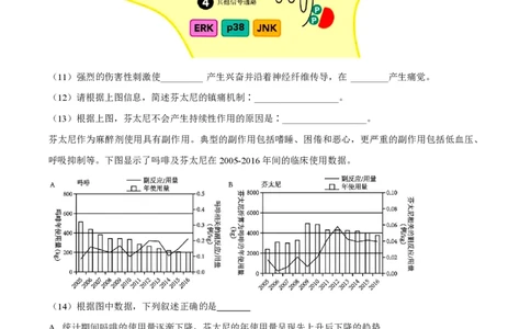 精品解析：上海市徐汇中学2022-2023学年高三11月期中生物试题（原卷版）_0122026上海中考一模二模真题试卷_2026年上海一模_上海1500初中高中试卷_高中_高三_上学期_2：期中