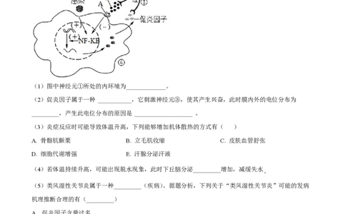 精品解析：上海市徐汇中学2022-2023学年高三11月期中生物试题（原卷版）_0122026上海中考一模二模真题试卷_2026年上海一模_上海1500初中高中试卷_高中_高三_上学期_2：期中