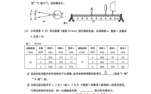 徐汇二模物理答案（手写参考版）_0122026上海中考一模二模真题试卷_2026上海二模更新中1_徐汇