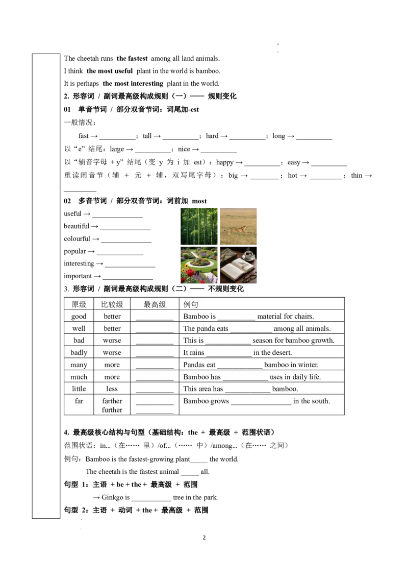 Unit4课时3SectionA（Grammar）（导学案）英语人教版2024八年级上册_最新人教版英语八年级上册_新版_初中英语8上新更新第二套可选择_01课件+教案+导学案+分层作业_3导学案