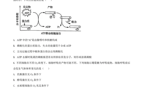精品解析：上海市华东师范大学第二附属中学2021-2022学年高二3月月考生命科学试题（原卷版）_0122026上海中考一模二模真题试卷_2026年上海一模_上海1500初中高中试卷_高中_高一_下学期