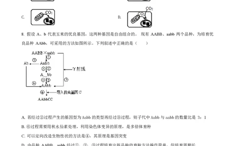 精品解析：上海市华东师范大学第二附属中学2021-2022学年高二3月月考生命科学试题（原卷版）_0122026上海中考一模二模真题试卷_2026年上海一模_上海1500初中高中试卷_高中_高一_下学期