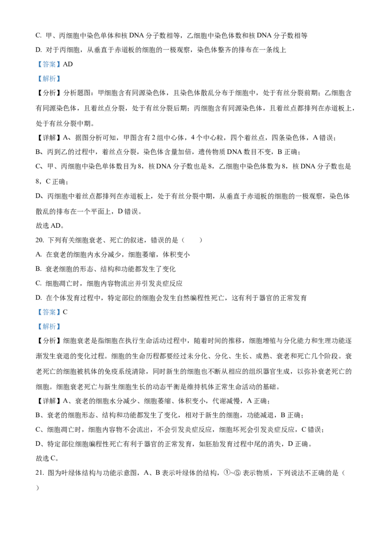 宁夏回族自治区石嘴山市第一中学2024-2025学年高一上学期1月期末生物试题Word版含解析_2025年03月试卷_0316宁夏回族自治区石嘴山市第一中学2024-2025学年高一上学期1月期末考试