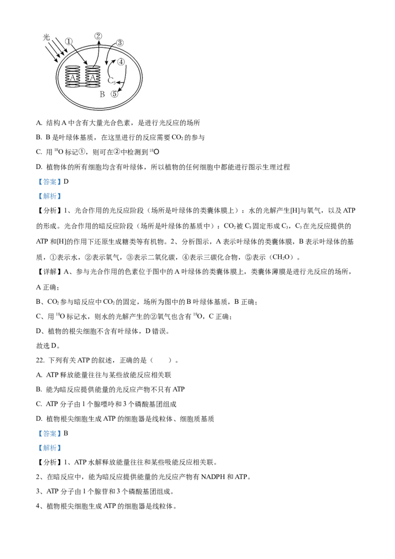 宁夏回族自治区石嘴山市第一中学2024-2025学年高一上学期1月期末生物试题Word版含解析_2025年03月试卷_0316宁夏回族自治区石嘴山市第一中学2024-2025学年高一上学期1月期末考试