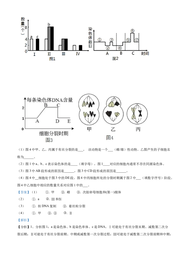 宁夏回族自治区石嘴山市第一中学2024-2025学年高一上学期1月期末生物试题Word版含解析_2025年03月试卷_0316宁夏回族自治区石嘴山市第一中学2024-2025学年高一上学期1月期末考试