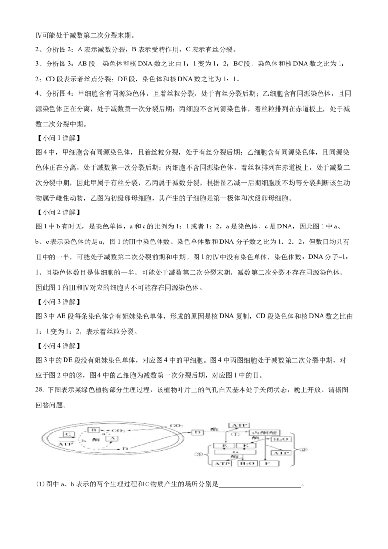 宁夏回族自治区石嘴山市第一中学2024-2025学年高一上学期1月期末生物试题Word版含解析_2025年03月试卷_0316宁夏回族自治区石嘴山市第一中学2024-2025学年高一上学期1月期末考试
