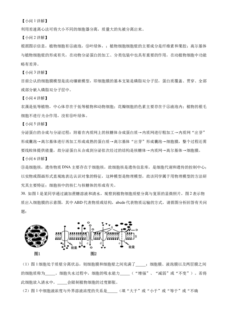 宁夏回族自治区石嘴山市第一中学2024-2025学年高一上学期1月期末生物试题Word版含解析_2025年03月试卷_0316宁夏回族自治区石嘴山市第一中学2024-2025学年高一上学期1月期末考试