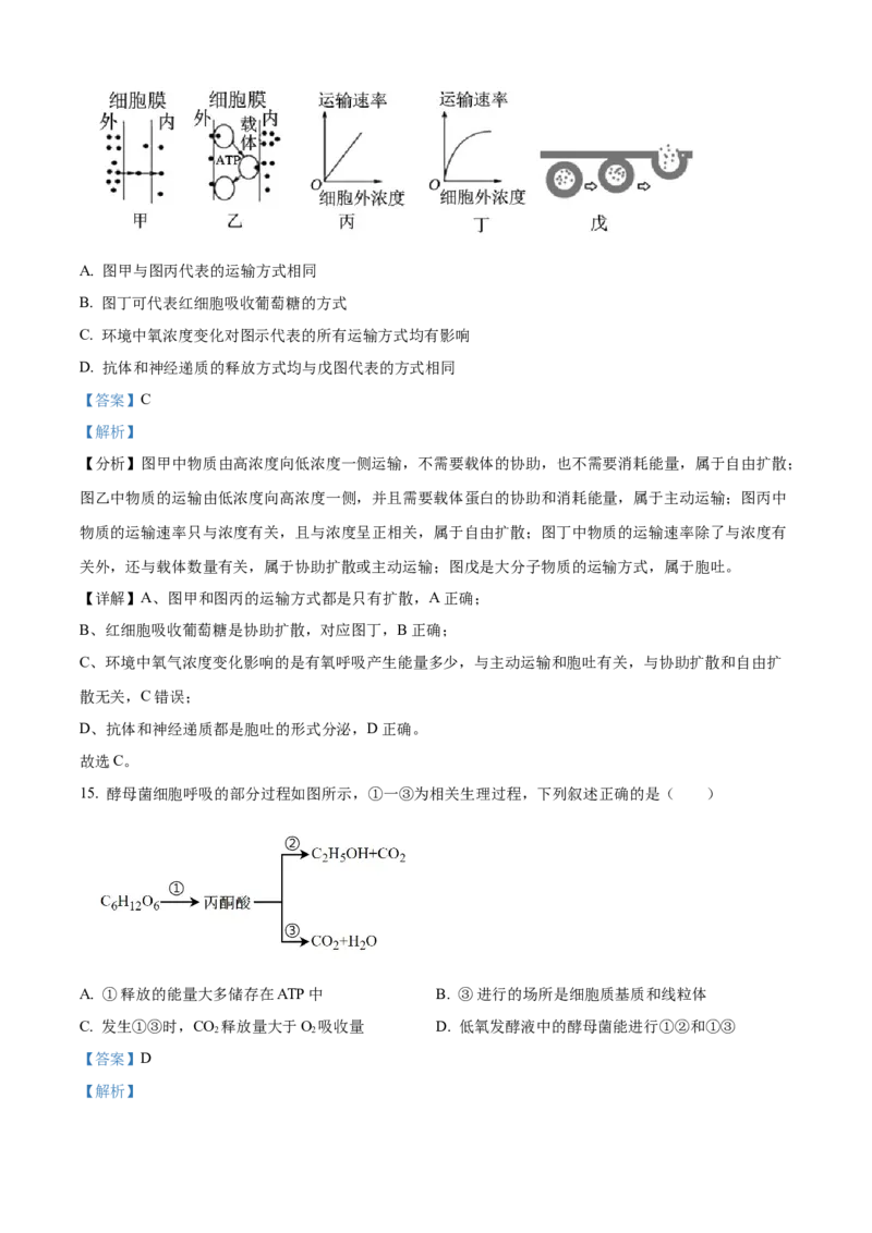 宁夏回族自治区石嘴山市第一中学2024-2025学年高一上学期1月期末生物试题Word版含解析_2025年03月试卷_0316宁夏回族自治区石嘴山市第一中学2024-2025学年高一上学期1月期末考试