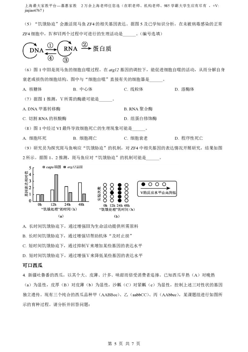 精品解析：上海交通大学附属中学2022-2023学年高一下学期期末生物试题（原卷版）_0122026上海中考一模二模真题试卷_2026年上海一模_上海1500初中高中试卷_高中_高一_下学期_3：期末