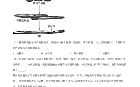 精品解析：上海交通大学附属中学2022-2023学年高一下学期期末生物试题（原卷版）_0122026上海中考一模二模真题试卷_2026年上海一模_上海1500初中高中试卷_高中_高一_下学期_3：期末