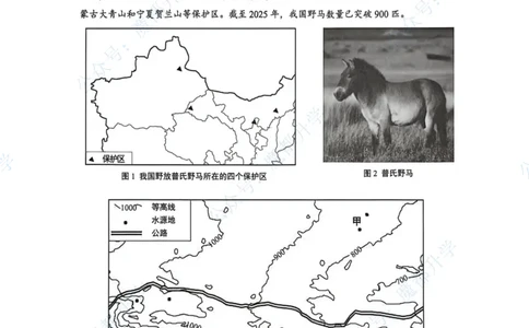 松江跨学科参考答案_0122026上海中考一模二模真题试卷_2026上海二模更新中1_松江