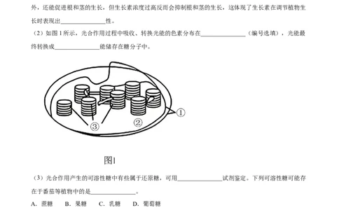 精品解析：2023届上海市金山区高三二模生物试题（解析版）_0122026上海中考一模二模真题试卷_2026年上海一模_上海1500初中高中试卷_高中_高三_模拟卷_生物