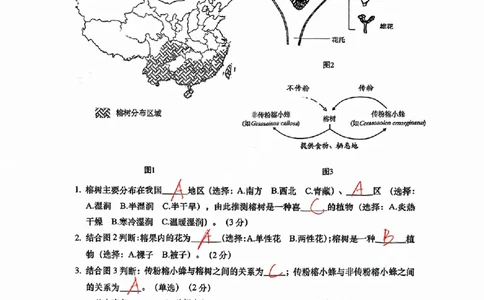 奉贤跨学科手写参考答案_0122026上海中考一模二模真题试卷_2026上海二模更新中1_奉贤