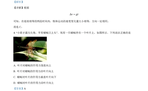 精品解析：上海市复旦大学附属中学2022-2023学年高一上学期期中考试物理试题（解析版）_0122026上海中考一模二模真题试卷_2026年上海一模_上海1500初中高中试卷_高中_高二_上学期