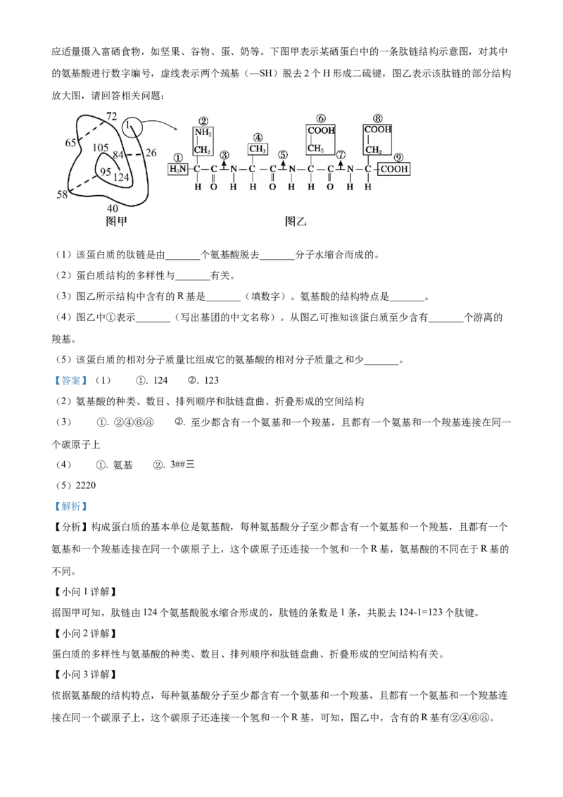 安徽省亳州市第二完全中学2025-2026学年高一上学期10月月考生物试题Word版含解析_2025年11月高一试卷_251109安徽省亳州市第二完全中学2025-2026学年高一上学期10月月考