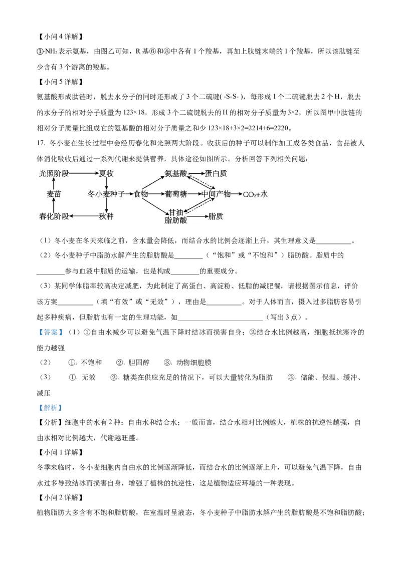 安徽省亳州市第二完全中学2025-2026学年高一上学期10月月考生物试题Word版含解析_2025年11月高一试卷_251109安徽省亳州市第二完全中学2025-2026学年高一上学期10月月考