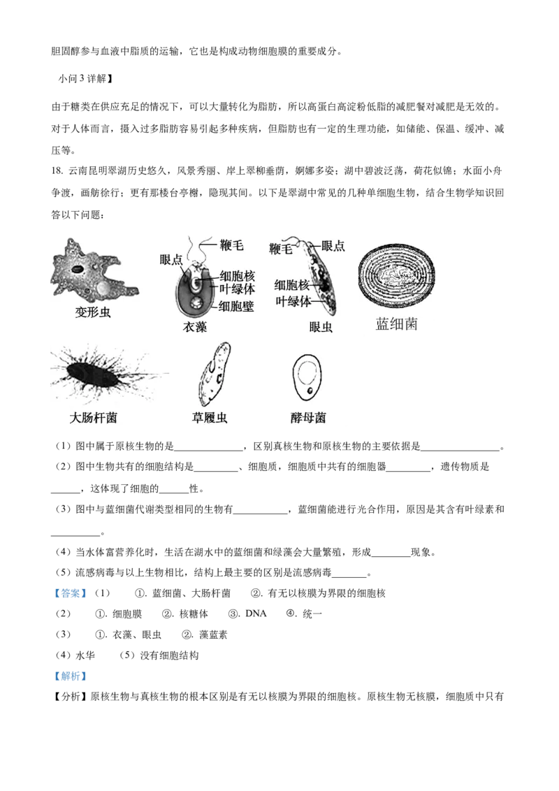 安徽省亳州市第二完全中学2025-2026学年高一上学期10月月考生物试题Word版含解析_2025年11月高一试卷_251109安徽省亳州市第二完全中学2025-2026学年高一上学期10月月考