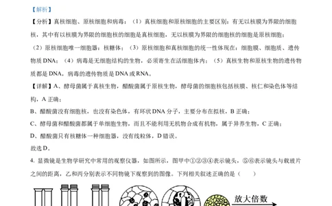 安徽省亳州市第二完全中学2025-2026学年高一上学期10月月考生物试题Word版含解析_2025年11月高一试卷_251109安徽省亳州市第二完全中学2025-2026学年高一上学期10月月考