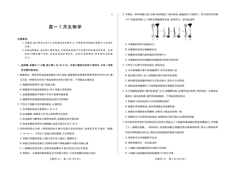 安徽省合肥六中等学校2025级高一上学期2月期末考试生物_2026年02月高一试卷_260214安徽省合肥六中等学校2025级高一上学期2月期末考试（全科）