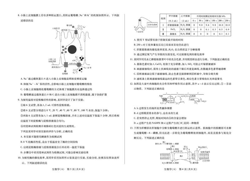 安徽省合肥六中等学校2025级高一上学期2月期末考试生物_2026年02月高一试卷_260214安徽省合肥六中等学校2025级高一上学期2月期末考试（全科）