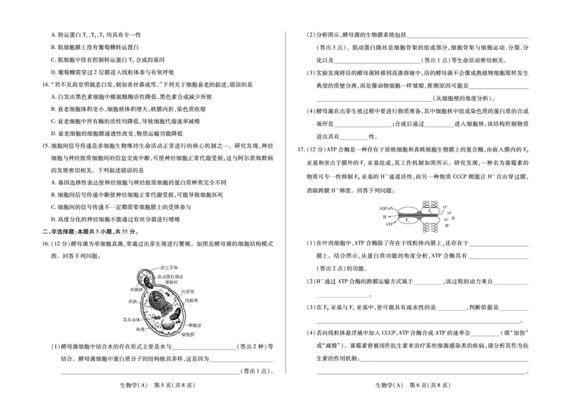 安徽省合肥六中等学校2025级高一上学期2月期末考试生物_2026年02月高一试卷_260214安徽省合肥六中等学校2025级高一上学期2月期末考试（全科）