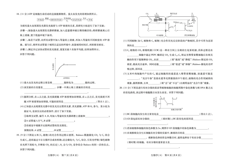 安徽省合肥六中等学校2025级高一上学期2月期末考试生物_2026年02月高一试卷_260214安徽省合肥六中等学校2025级高一上学期2月期末考试（全科）