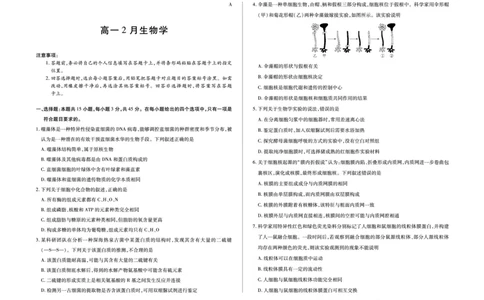 安徽省合肥六中等学校2025级高一上学期2月期末考试生物_2026年02月高一试卷_260214安徽省合肥六中等学校2025级高一上学期2月期末考试（全科）