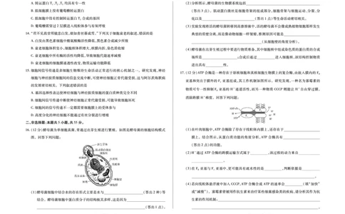安徽省合肥六中等学校2025级高一上学期2月期末考试生物_2026年02月高一试卷_260214安徽省合肥六中等学校2025级高一上学期2月期末考试（全科）