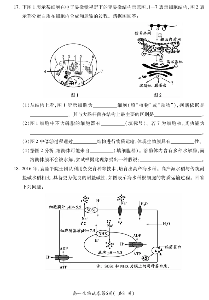 安徽省蚌埠市2025&mdash;2026学年度第一学期期末学业水平监测生物_2026年02月高一试卷_260209安徽省蚌埠市2025&mdash;2026学年度高一第一学期期末学业水平监测（全）