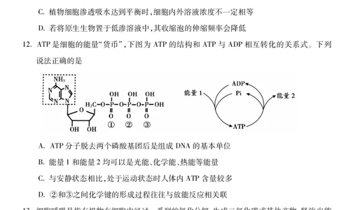 安徽省蚌埠市2025&mdash;2026学年度第一学期期末学业水平监测生物_2026年02月高一试卷_260209安徽省蚌埠市2025&mdash;2026学年度高一第一学期期末学业水平监测（全）