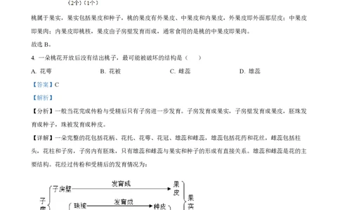 精品解析：上海市闵行区2022-2023学年九年级上学期期末练习生命科学试题（解析版）_0122026上海中考一模二模真题试卷_2026年上海一模_上海1500初中高中试卷_初中_九年级_上学期_3：期末