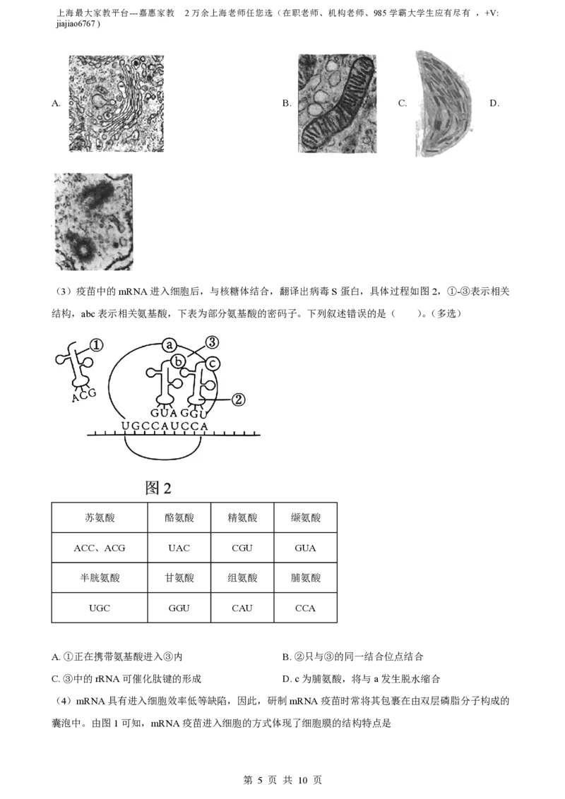 精品解析：上海市某校2023-2024学年高二10月考试生物试题（原卷版）_0122026上海中考一模二模真题试卷_2026年上海一模_上海1500初中高中试卷_高中_高二_上学期_1：月考