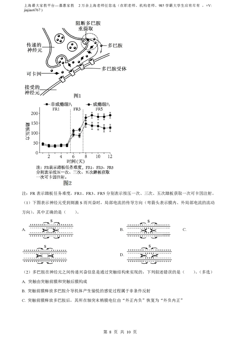 精品解析：上海市某校2023-2024学年高二10月考试生物试题（原卷版）_0122026上海中考一模二模真题试卷_2026年上海一模_上海1500初中高中试卷_高中_高二_上学期_1：月考