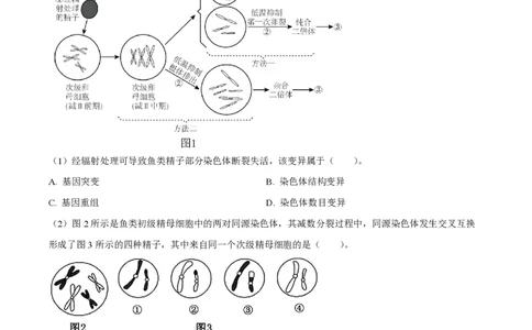 精品解析：上海市某校2023-2024学年高二10月考试生物试题（原卷版）_0122026上海中考一模二模真题试卷_2026年上海一模_上海1500初中高中试卷_高中_高二_上学期_1：月考