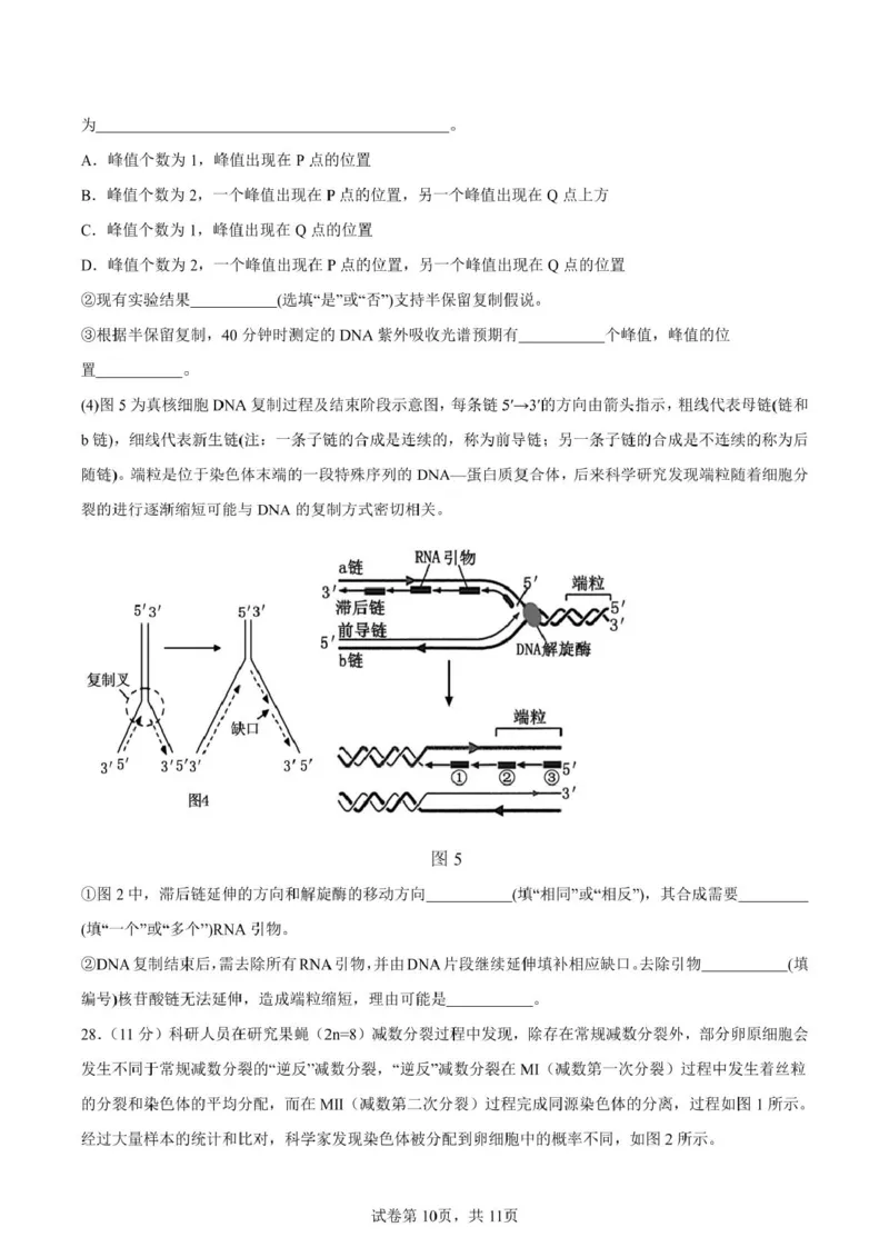 山东省新泰市第一中学北校2024&mdash;2025学年高一下学期期中考试生物试题新泰一中北校高一下学期期中考试_2025年05月试卷