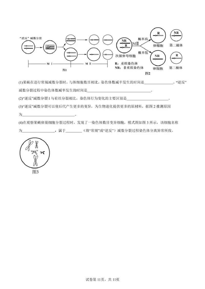 山东省新泰市第一中学北校2024&mdash;2025学年高一下学期期中考试生物试题新泰一中北校高一下学期期中考试_2025年05月试卷