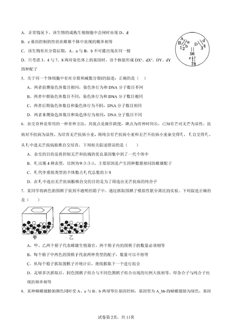 山东省新泰市第一中学北校2024&mdash;2025学年高一下学期期中考试生物试题新泰一中北校高一下学期期中考试_2025年05月试卷