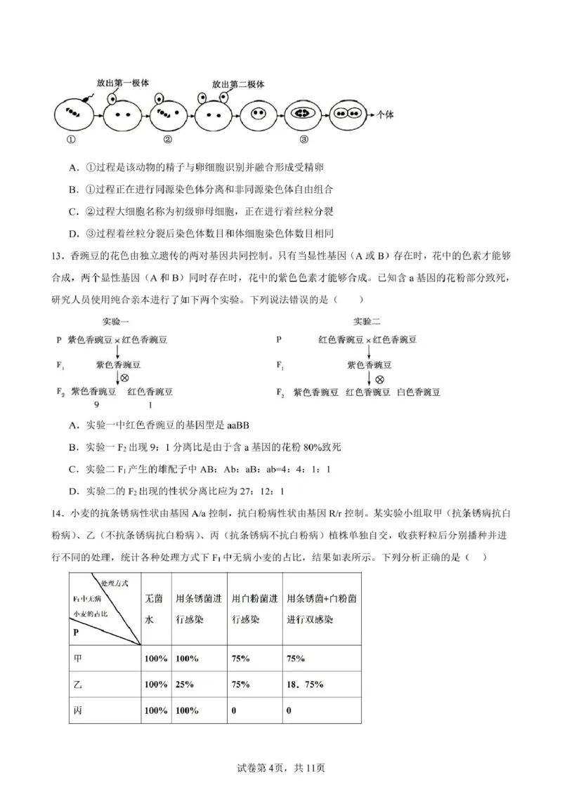 山东省新泰市第一中学北校2024&mdash;2025学年高一下学期期中考试生物试题新泰一中北校高一下学期期中考试_2025年05月试卷