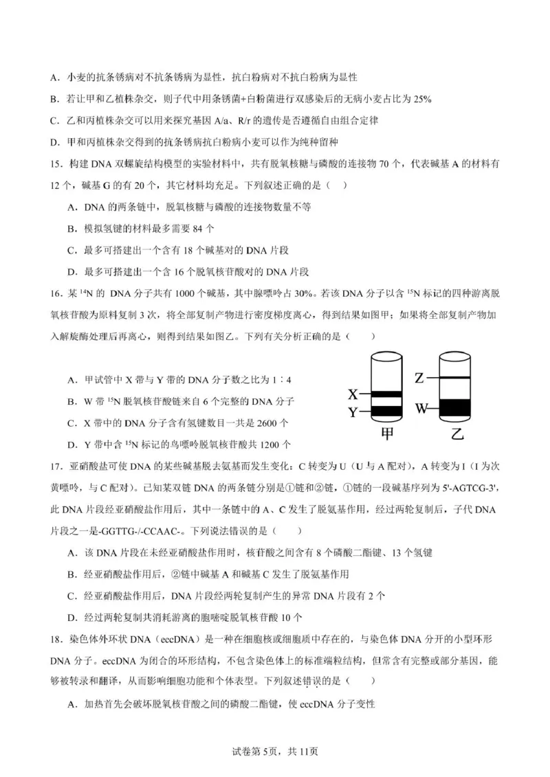 山东省新泰市第一中学北校2024&mdash;2025学年高一下学期期中考试生物试题新泰一中北校高一下学期期中考试_2025年05月试卷