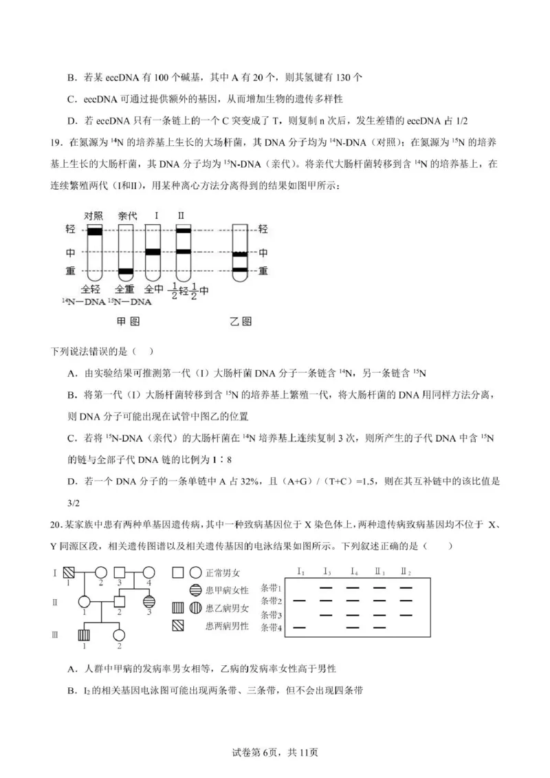 山东省新泰市第一中学北校2024&mdash;2025学年高一下学期期中考试生物试题新泰一中北校高一下学期期中考试_2025年05月试卷
