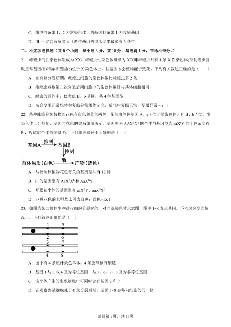 山东省新泰市第一中学北校2024&mdash;2025学年高一下学期期中考试生物试题新泰一中北校高一下学期期中考试_2025年05月试卷