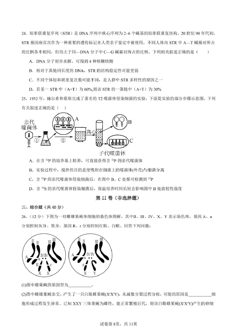 山东省新泰市第一中学北校2024&mdash;2025学年高一下学期期中考试生物试题新泰一中北校高一下学期期中考试_2025年05月试卷