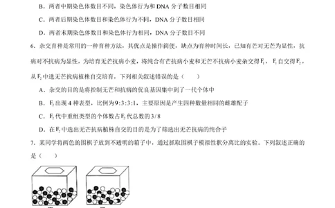 山东省新泰市第一中学北校2024&mdash;2025学年高一下学期期中考试生物试题新泰一中北校高一下学期期中考试_2025年05月试卷