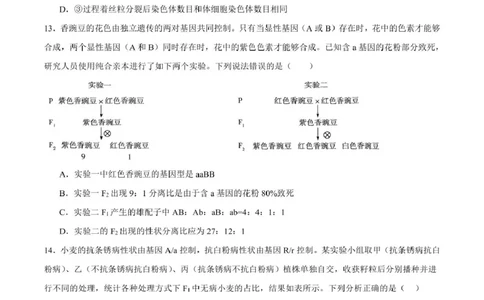 山东省新泰市第一中学北校2024&mdash;2025学年高一下学期期中考试生物试题新泰一中北校高一下学期期中考试_2025年05月试卷