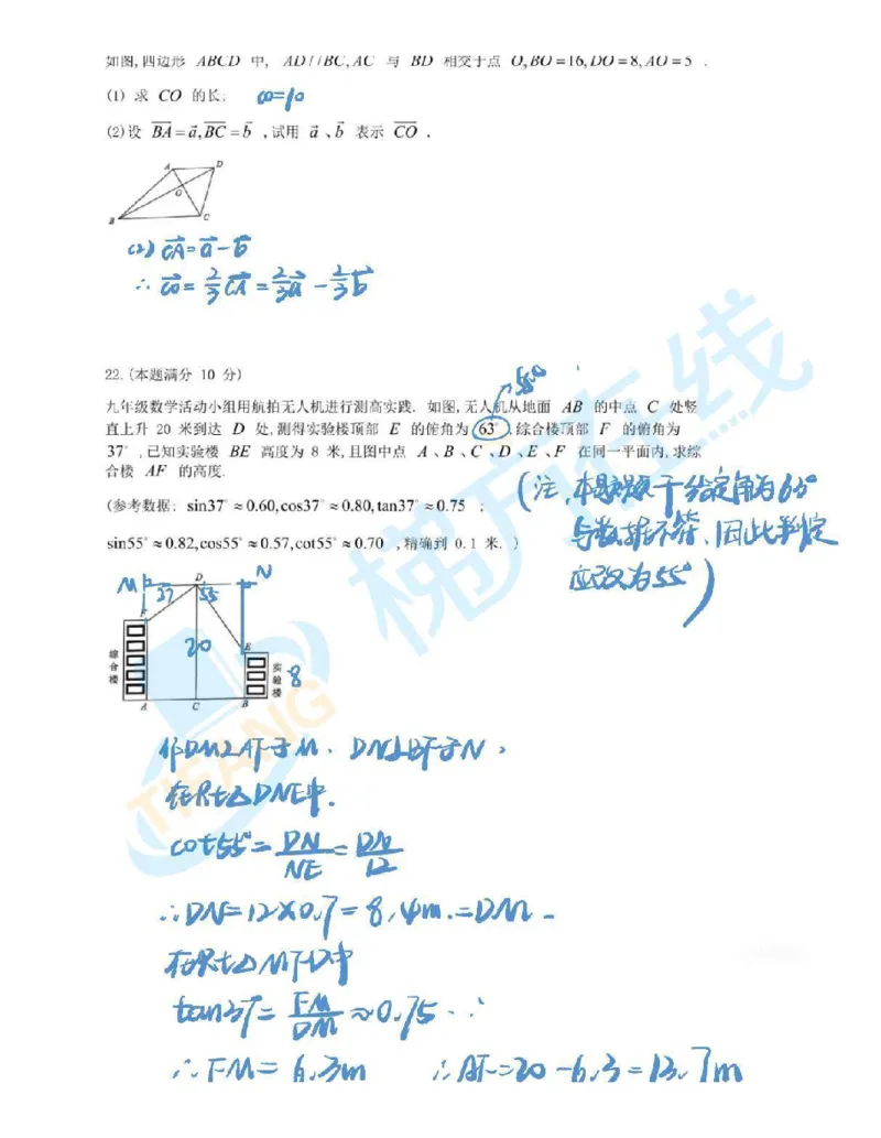 独家解析2025届崇明区初三一模数学试卷（答案）_0122026上海中考一模二模真题试卷_2025-2012年_6.2025年上海一模_分科目整理（试卷及答案）英语听力音频在这里_数学_答案