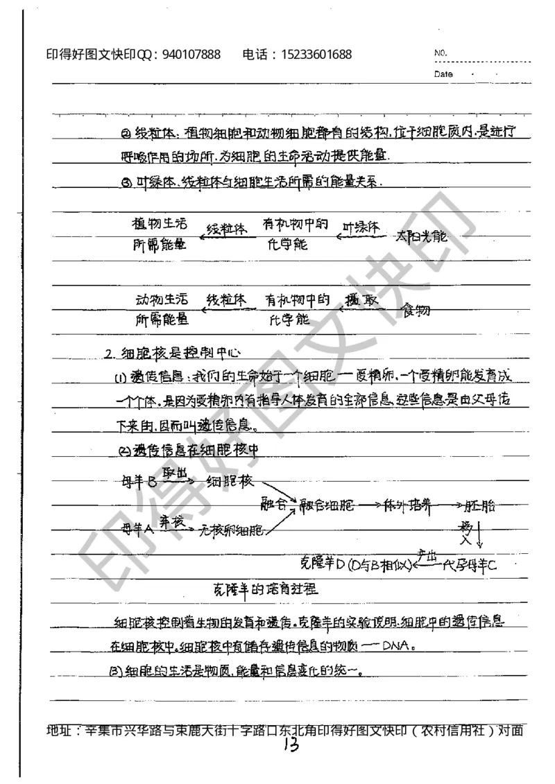中考状元笔记生物_初中资料